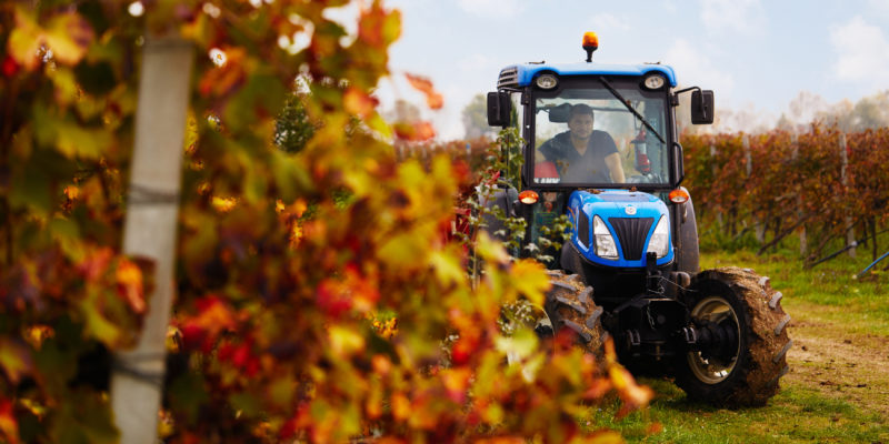 tractor in the vineyard-values medici ermete